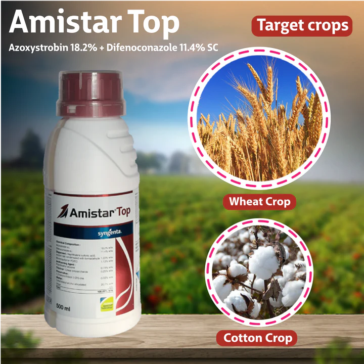 Syngenta Amistar Top 1 Litre Fungicide | Advanced Disease Control for Crops