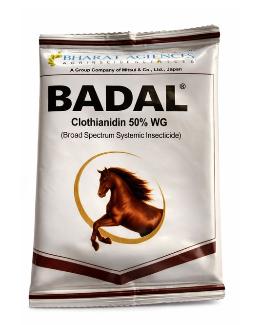 Housefly Control & Killer – Safe & Effective Fly Killer for Household Use