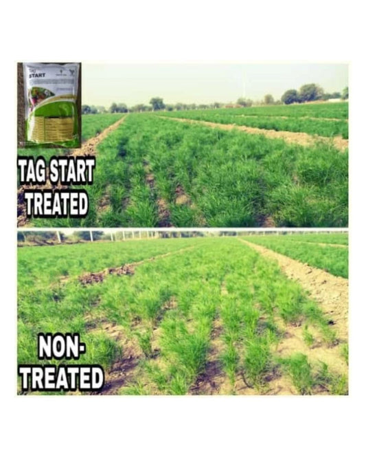 Tropical TAG Start Root Growth Booster – Early Crop Establishment Fertilizer